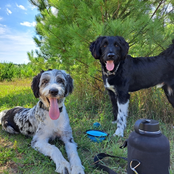 Meet your Posher, Jay - Picture 3 of 3